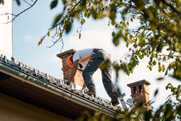 Best Metal Roofing Contractor  in Colonial Beach, VA
