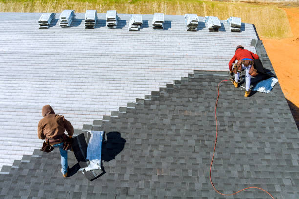 Best Storm Damage Roof Repair  in Colonial Beach, VA