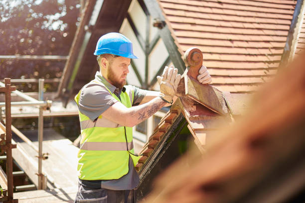 Best Shingle Roofing Installation  in Colonial Beach, VA
