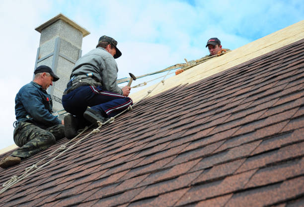 Best Shingle Roofing Installation  in Colonial Beach, VA